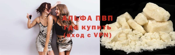 стаф Богородицк