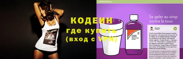 стаф Богородицк