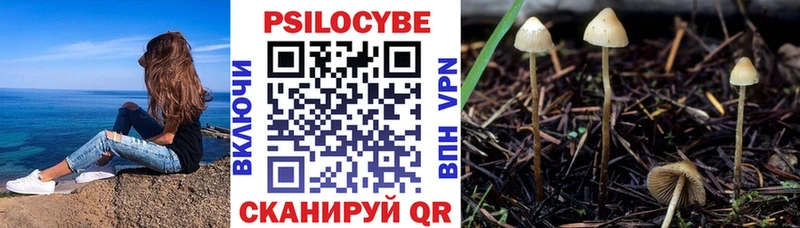 Галлюциногенные грибы мухоморы Фёдоровский